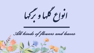 معرفی انواع گلها و برگ ها LEVEL 1