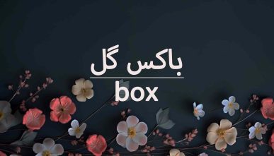 آموزش باکس گل