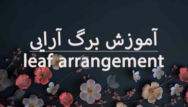 آموزش برگ آرایی