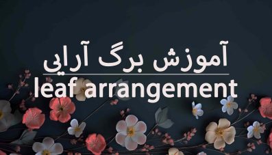 آموزش برگ آرایی