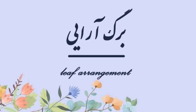 آموزش برگ آرایی