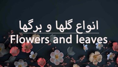 معرفی انواع گلها و برگ ها