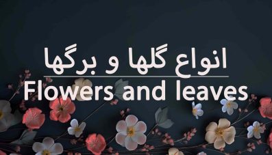 معرفی انواع گلها و برگ ها