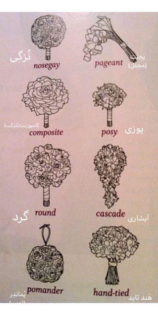 تصویر ظروف مناسب برای انواع فرمها1