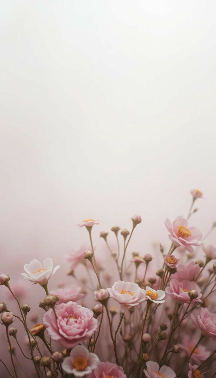 کلاسهای حضوری گروه k